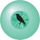 Dansk Glaukom Forening